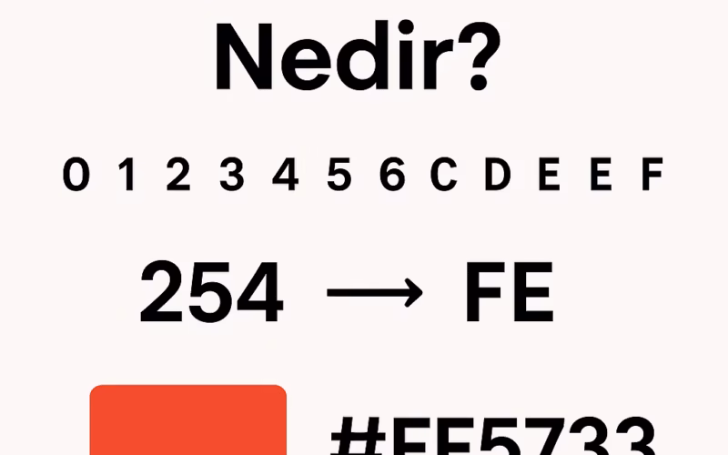 hec kodu nedir