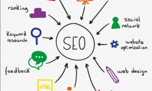 seo