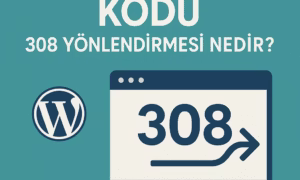 308 durum kodu