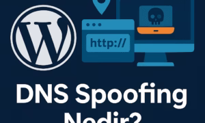 dns spoofing nedir